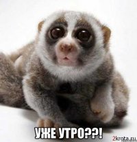  уже утро??!