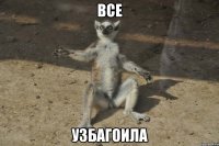 все узбагоила
