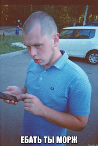  ебать ты морж