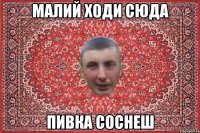 малий ходи сюда пивка соснеш