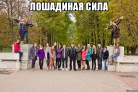 лошадиная сила 