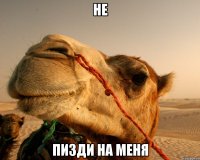 не пизди на меня