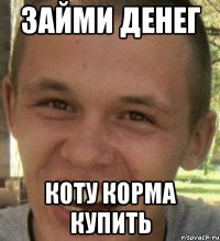 займи денег коту корма купить
