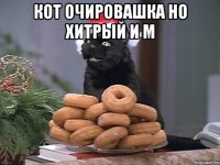 кот очировашка но хитрый и м 