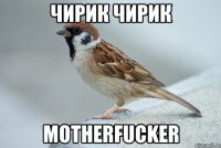 чирик чирик motherfucker