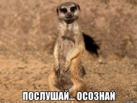  послушай... осознай