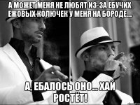 а может меня не любят из-за ебучих ежовых колючек у меня на бороде.... а, ебалось оно... хай ростёт!