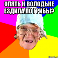 опять к володьке ездила по грибы? 