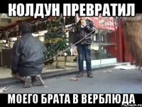 колдун превратил моего брата в верблюда