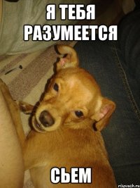 я тебя разумеется сьем