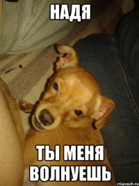 Надя ты меня волнуешь