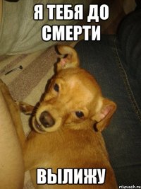 я тебя до смерти вылижу