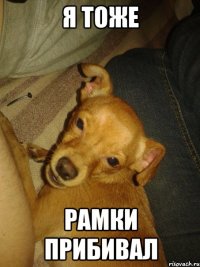 я тоже рамки прибивал