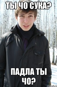 Ты чо сука? Падла ты чо?