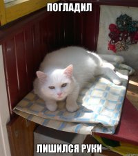 ПОГЛАДИЛ ЛИШИЛСЯ РУКИ