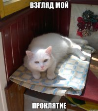 ВЗГЛЯД МОЙ ПРОКЛЯТИЕ