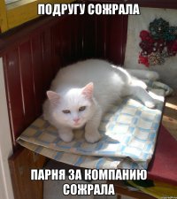 ПОДРУГУ СОЖРАЛА ПАРНЯ ЗА КОМПАНИЮ СОЖРАЛА
