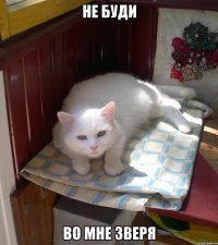 НЕ БУДИ ВО МНЕ ЗВЕРЯ