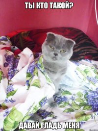 ты кто такой? давай гладь меня