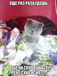 еще раз разбудешь я тебе на голову насру! тебе сука ясно??