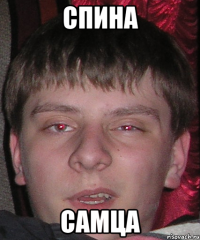 спина самца