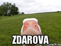  zdarova