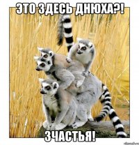 Это здесь Днюха?! Зчастья!