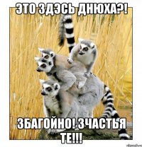Это здэсь Днюха?! Збагойно! Зчастья те!!!