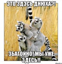 Это здэсь Днюха?! Збагойно! Мы уже здесь!!