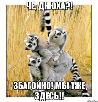 Че, Днюха?! Збагойно! Мы уже здесь!!