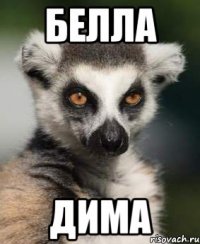 Белла Дима