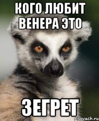 Кого любит Венера это Зегрет