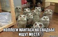  Коллеги Жантаса на свадьбе ищут места