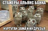 Стажеры альянс банка Нуртуган Зама и их друзья