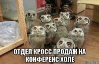  Отдел кросс продаж на конференс холе