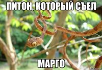 питон, который съел марго