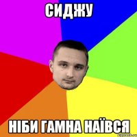 Сиджу ніби гамна наївся