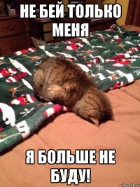 Не бей только меня Я больше не буду!