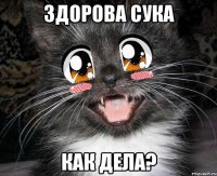 ЗДОРОВА СУКА КАК ДЕЛА?