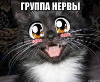 группа нервы 