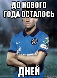 до нового года осталось дней