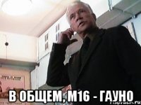  В общем, М16 - гауно