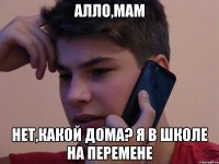 АЛЛО,МАМ НЕТ,КАКОЙ ДОМА? Я В ШКОЛЕ НА ПЕРЕМЕНЕ