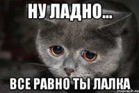 ну ладно... все равно ты лалка