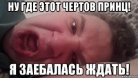 Ну где этот чертов принц! Я заебалась ждать!
