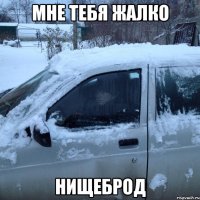 МНЕ ТЕБЯ ЖАЛКО НИЩЕБРОД