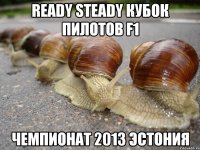 ready steady кубок пилотов F1 чемпионат 2013 эстония