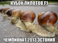 кубок пилотов F1 чемпионат 2013 эстония