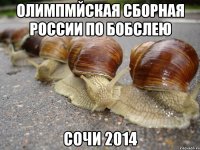 Олимпмйская сборная России по бобслею Сочи 2014