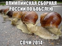 Олимпийская сборная России по бобслею Сочи 2014